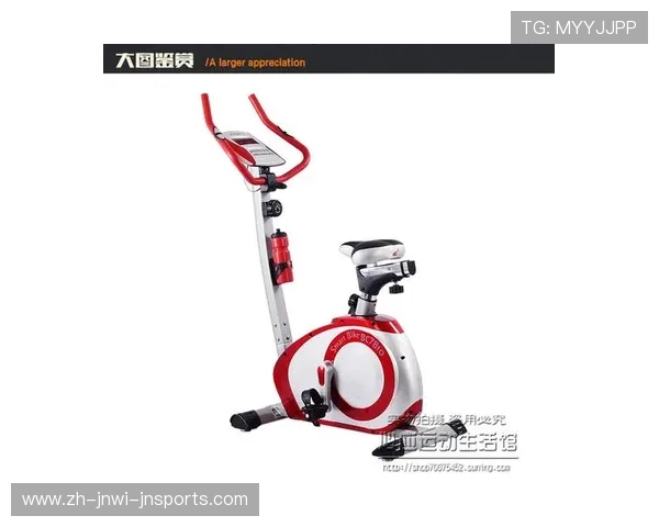 艾威健身器材专卖店的产品种类与购买建议